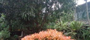 Jimi Villa